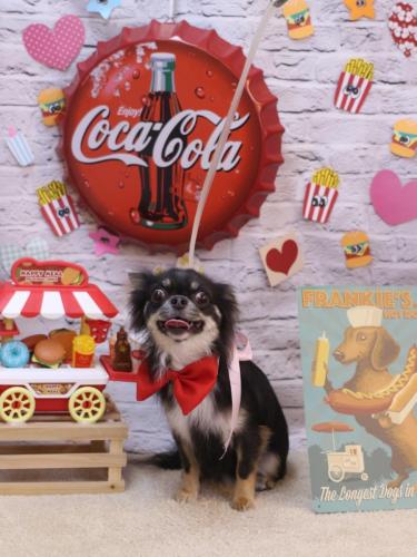 20230906らんまるちゃん